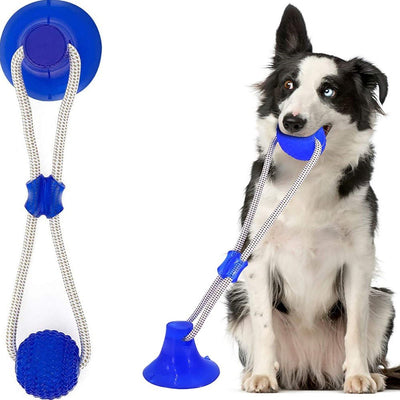 Pelota cuerda con ventosa 46CM Azul - Sweet Home