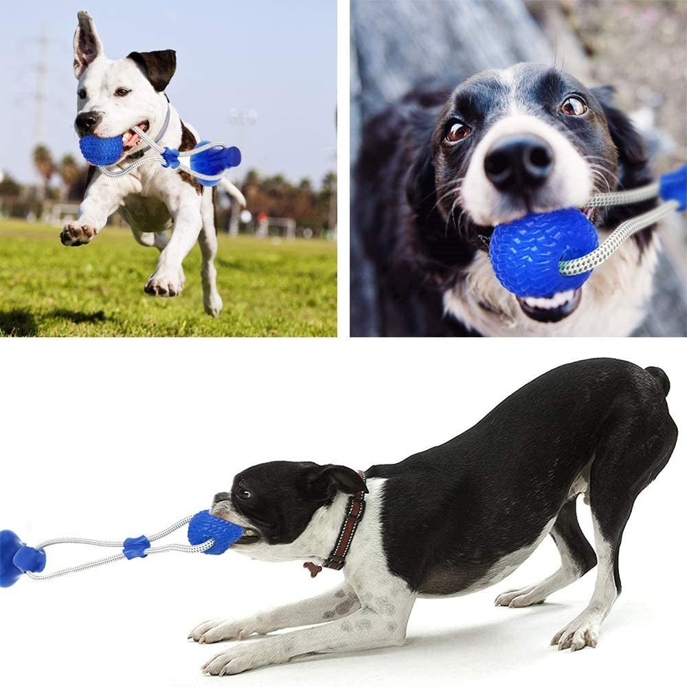 Pelota cuerda con ventosa 46CM Azul - Sweet Home
