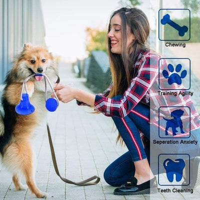 Pelota cuerda con ventosa 46CM Azul - Sweet Home