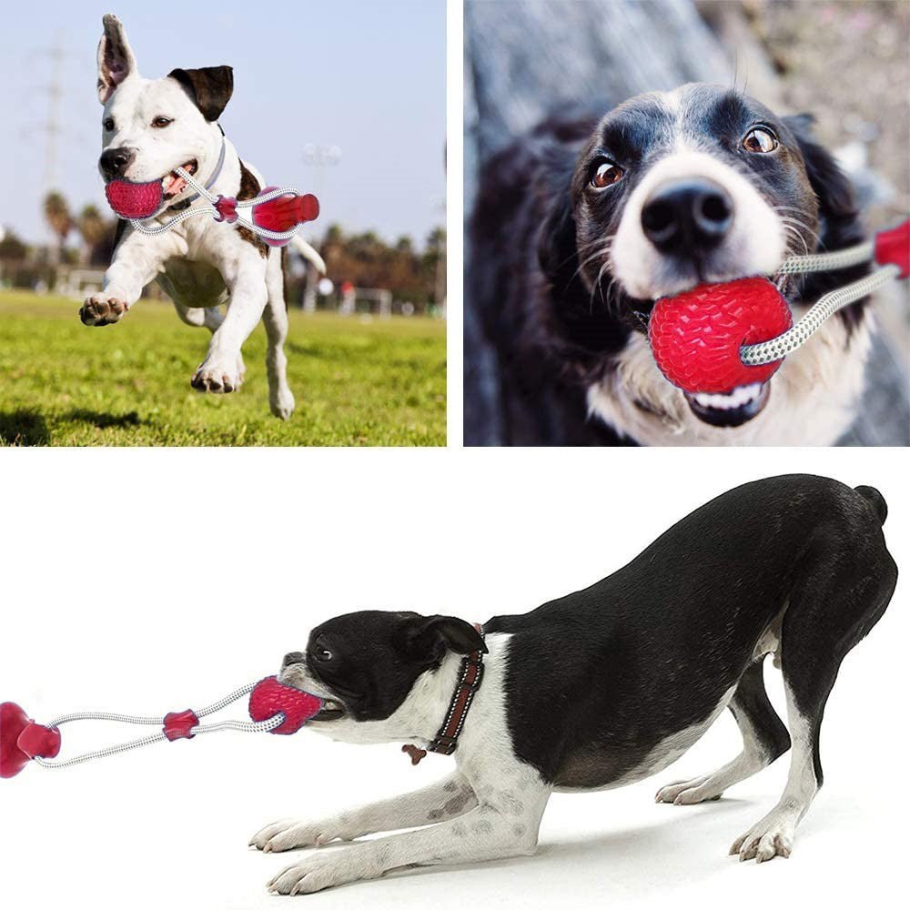Pelota Cuerda con Ventosa para Perro 46cm - Sweet Home