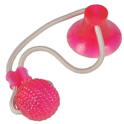 Pelota Cuerda con Ventosa para Perro 46cm - Sweet Home