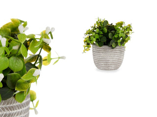 Planta Verde Flor Blanca con Maceta - Sweet Home