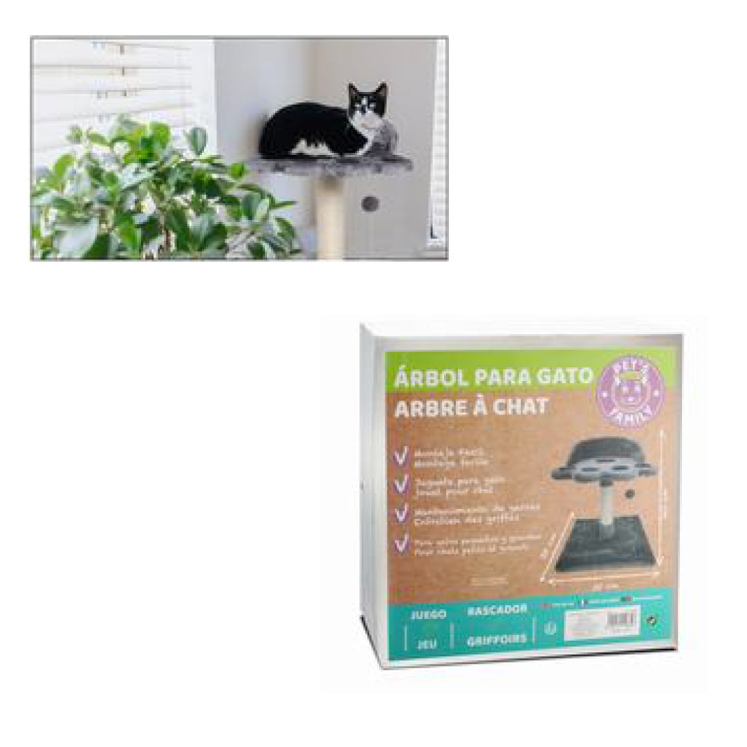 Rascador Juguete Para Gato - Sweet Home
